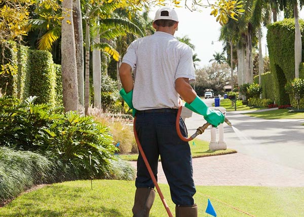 About Franklin TN Pest Control Pros